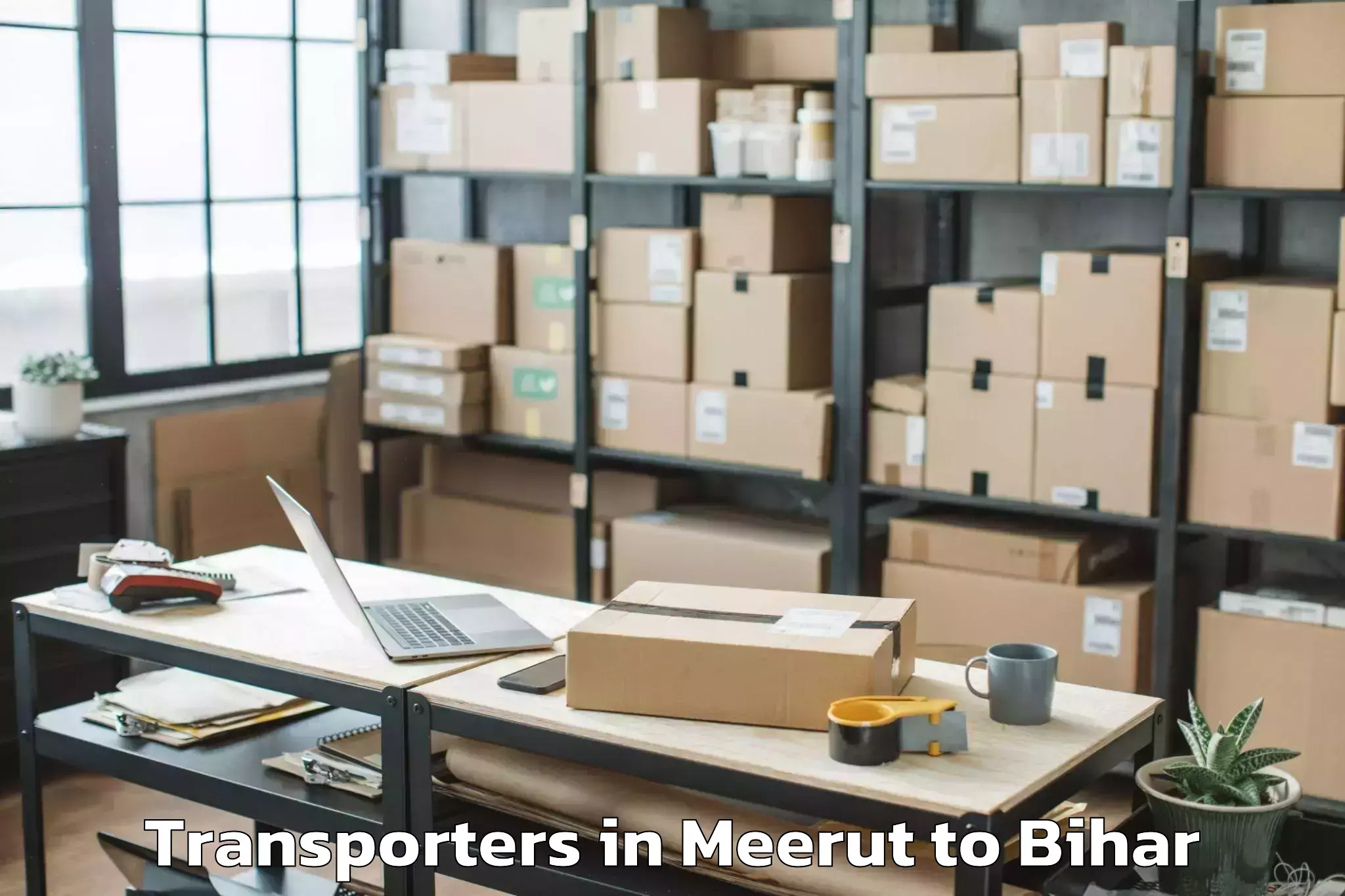 Professional Meerut to Hathua Transporters